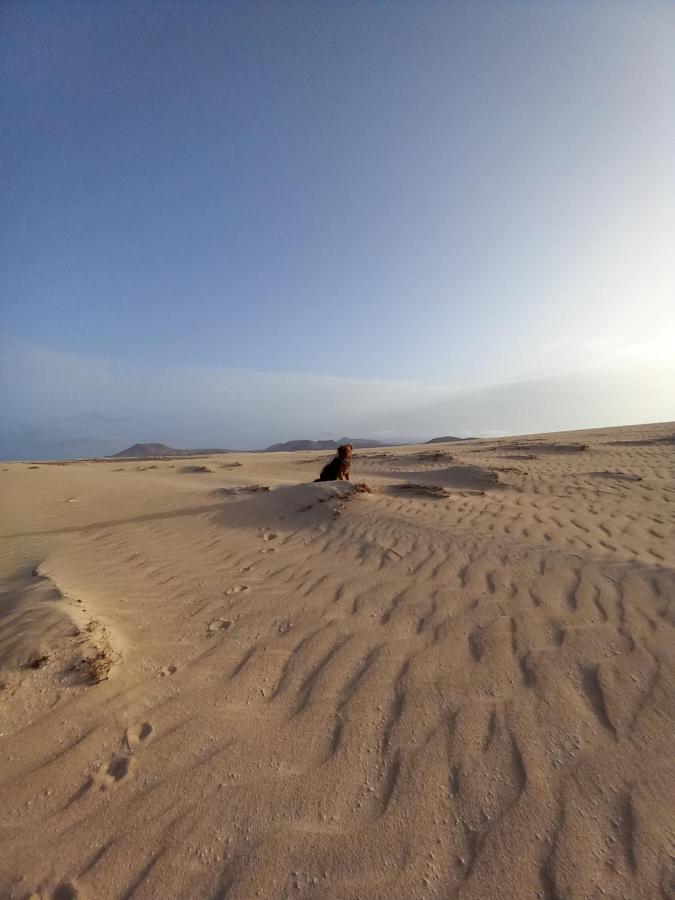 La Oliva Sun & Beach Bagian luar foto