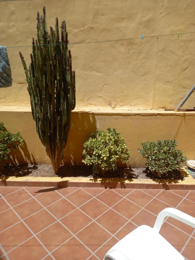 La Oliva Sun & Beach Bagian luar foto